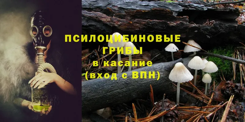 Галлюциногенные грибы Magic Shrooms  Камышин 